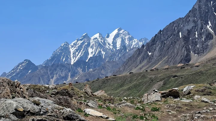 Jollingkong base camp alternative dome huts