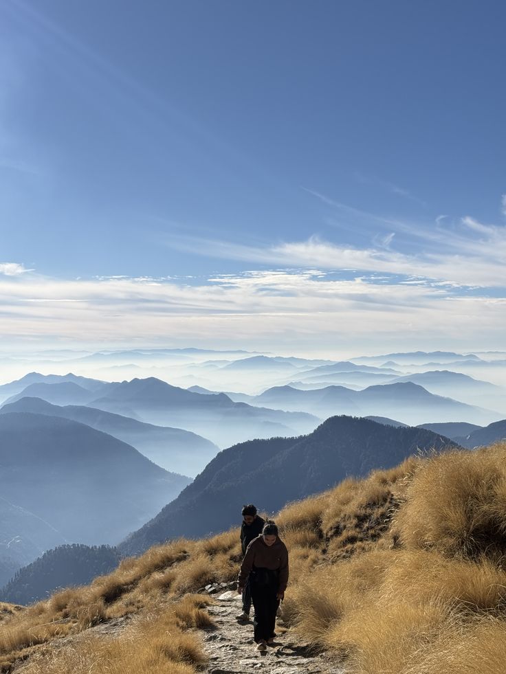 Trekking through Rhododendron forests in Munsyari